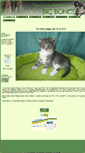 Mobile Screenshot of big-bones.de