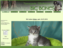 Tablet Screenshot of big-bones.de